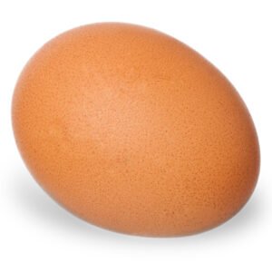 Egg