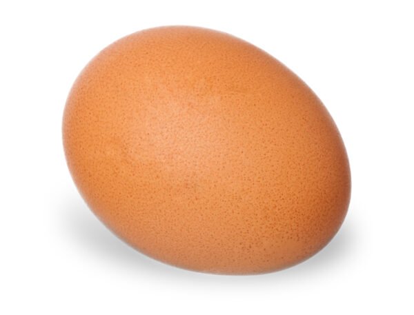 Egg